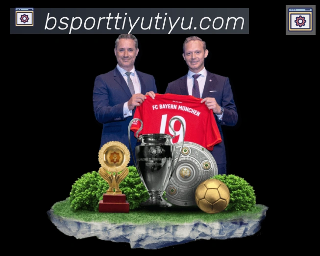 Bsports官网发展历程