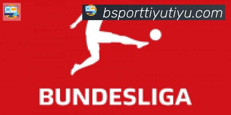 Bsports官网合作伙伴